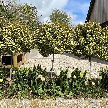 Cedar House Ilsington Exterior photo