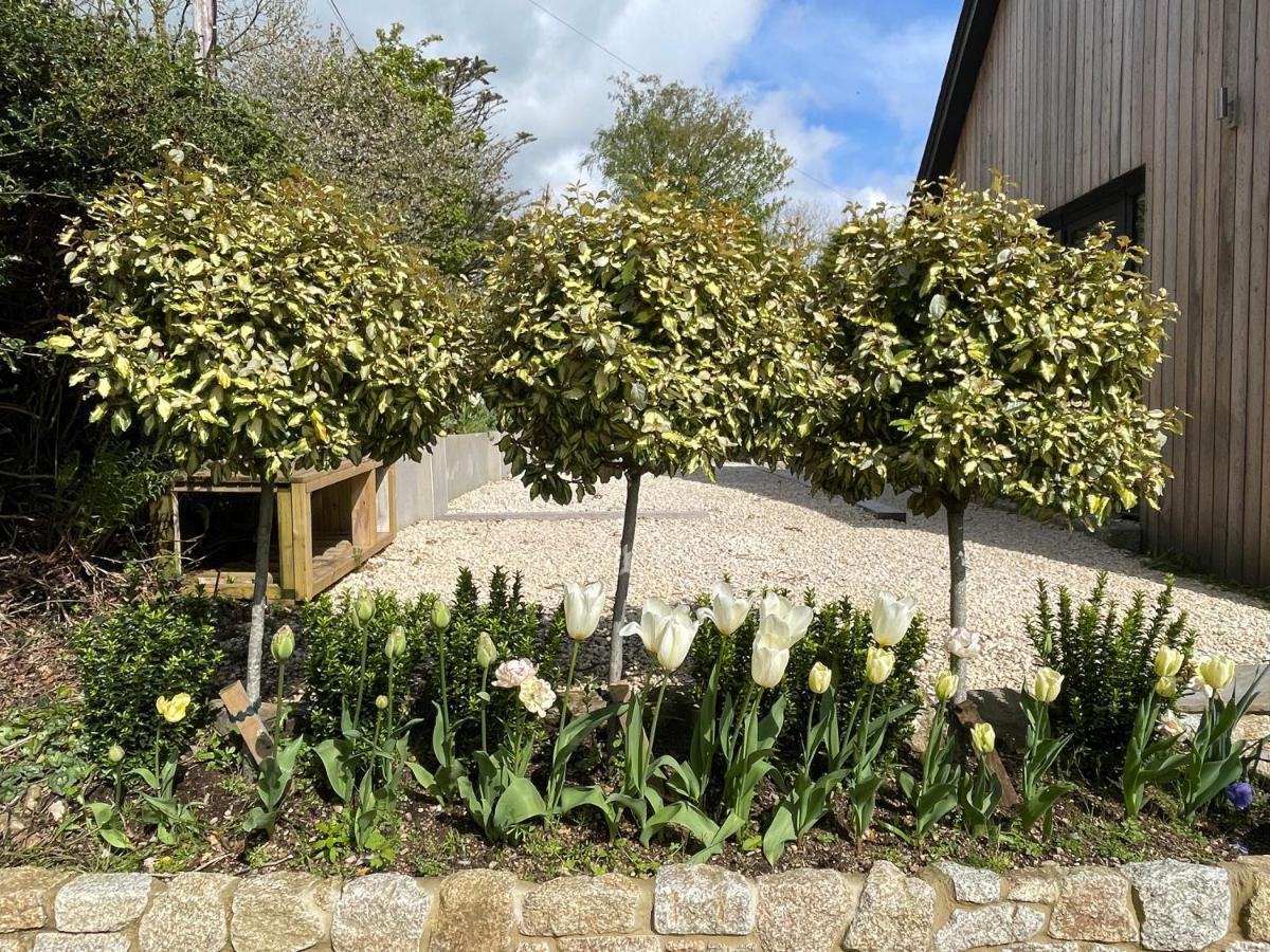 Cedar House Ilsington Exterior photo